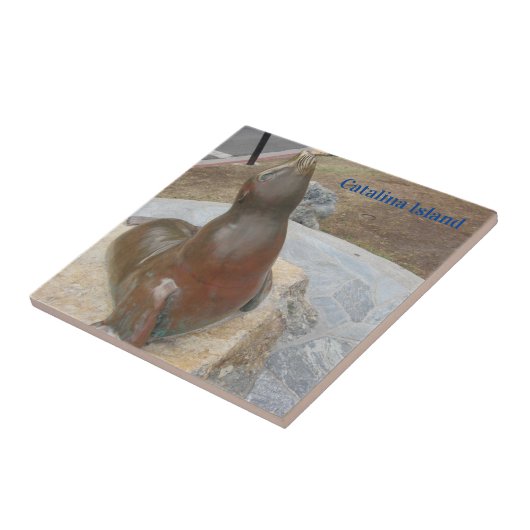 CATALINA ISLAND CERAMIC TILE THE BEN FLIESE (Seite)