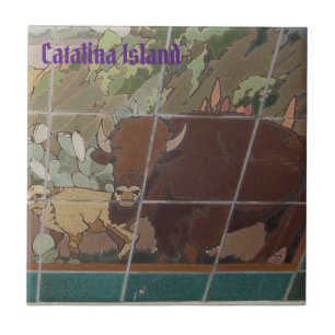 CATALINA ISLAND KERAMISCHE FLIESE INSEL GESICHT