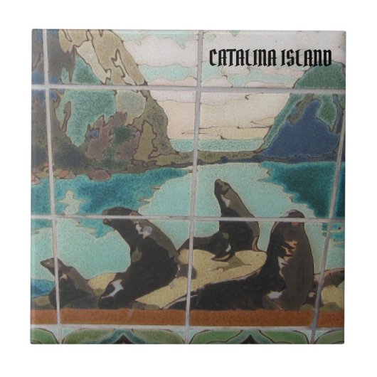 CATALINA ISLAND KERAMISCHE FLIESEN DIE INSELBEWOHN (Vorderseite)