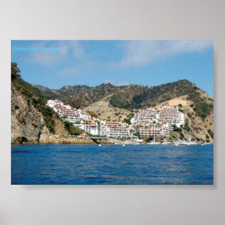 Catalina Island Mountains Poster