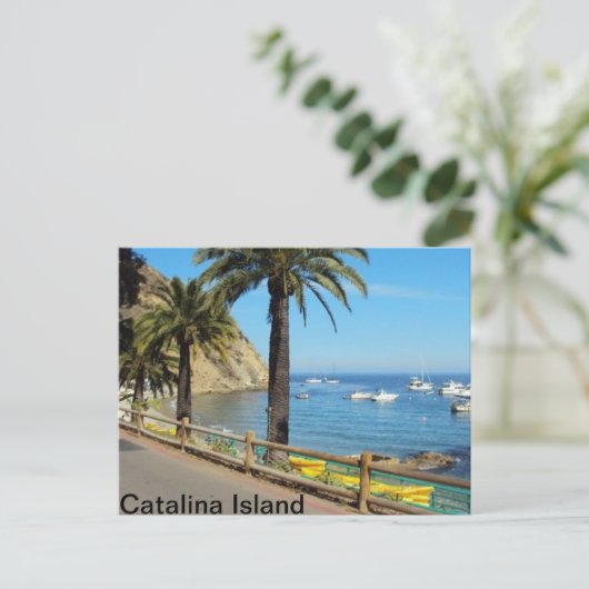 Catalina Island Postkarte (Stehend Vorderseite)