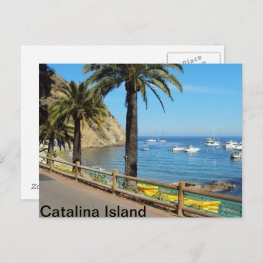 Catalina Island Postkarte (Vorne/Hinten)