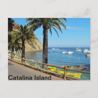 Catalina Island Postkarte