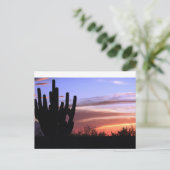 Catalina Mountains Sunset Postkarte (Stehend Vorderseite)