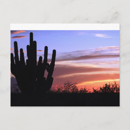 Catalina Mountains Sunset Postkarte (Vorderseite)