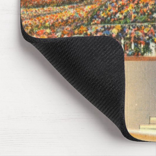 Catalina Mousepad (Ecke)