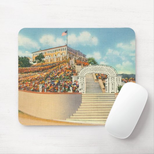 Catalina Mousepad (Mit Mouse)