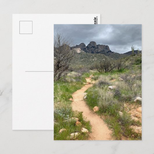 Catalina Postkarte (Vorne/Hinten)