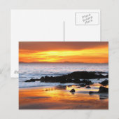 Catalina Sunset Postkarte (Vorne/Hinten)