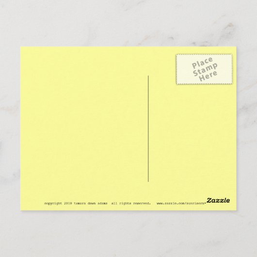 Catalina Tile Postkarte (Rückseite)