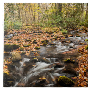 Cataloochee Creek NC Große Smoky-Berge Fliese