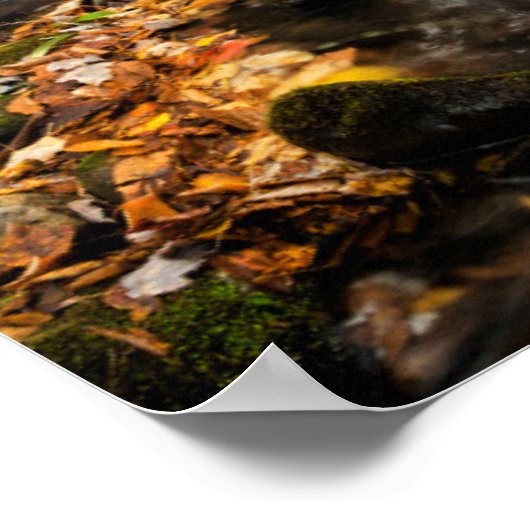 Cataloochee Creek NC Große Smoky-Berge Poster (Ecke)