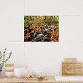 Cataloochee Creek NC Große Smoky-Berge Poster (Küche)
