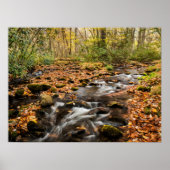 Cataloochee Creek NC Große Smoky-Berge Poster (Vorne)