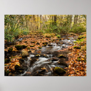 Cataloochee Creek NC Große Smoky-Berge Poster