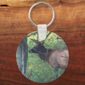 Cataloochee Elk Schlüsselanhänger (Vorderseite)