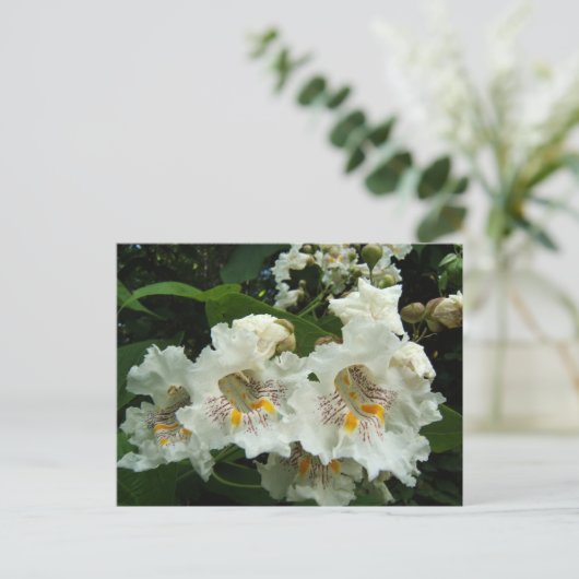 Catalpa blüht ~ Postkarte (Stehend Vorderseite)