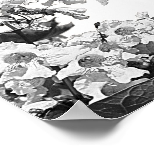 Catalpa Tree Fairy mit Blume Poster (Ecke)