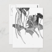 Catalpa Tree Fairy mit Samen Pods Postkarte (Vorne/Hinten)