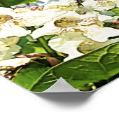 Catalpa Tree Fairy neben Blume Poster (Ecke)