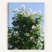 Catalpa Tree in Bloom Notizblock (Vorderseite)