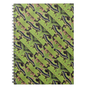 Catalpa Worms Camouflage-Wels-Fischen Notizblock