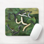 Catalpa Worms Catfish Bait Fotokunst Mousepad (Mit Mouse)