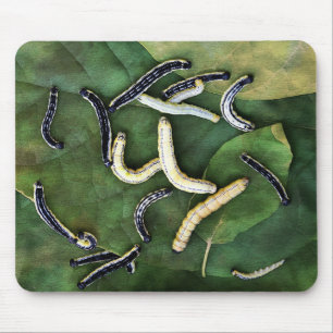 Catalpa Worms Catfish Bait Fotokunst Mousepad