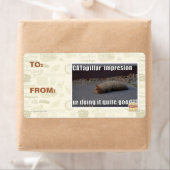 CATapillar (Insitu)