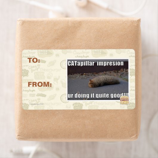 CATapillar (Insitu)