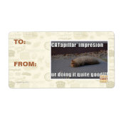 CATapillar (Vorne)