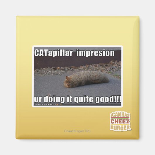 CATapillar Magnet (Vorne)