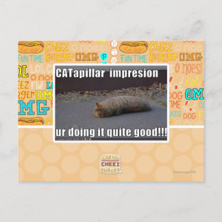 CATapillar Postkarte