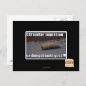CATapillar Postkarte (Vorne/Hinten)