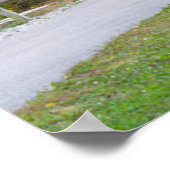 Cataract Covered Bridge über Mill Creek Poster (Ecke)