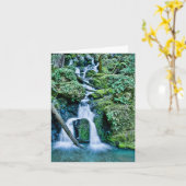 Cataract Creek Waterfall Karte (Gelbe Blume)
