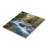 Cataract Falls in den USA Fliese (Seite)