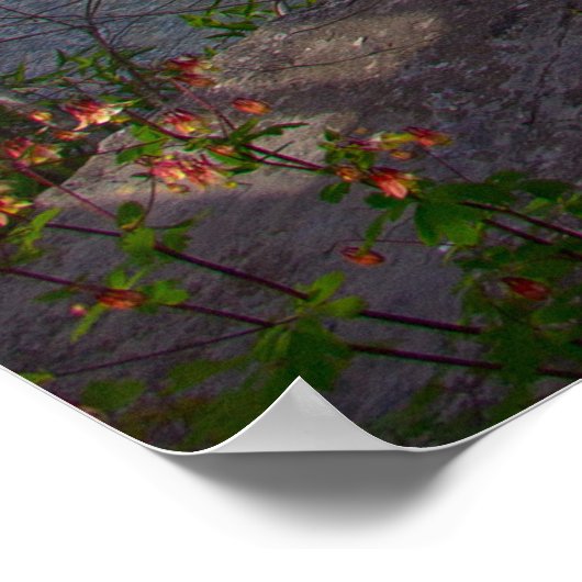 Cataract Falls, Upper Falls, Indiana Poster (Ecke)