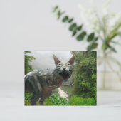 Catasaurus Rex Postkarte (Stehend Vorderseite)