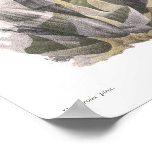 Catasetum splenum poster (Ecke)