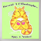 CATastrophe Poster (Vorne)
