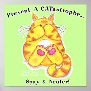 CATastrophe Poster
