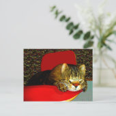 CATaTUDE Postkarte (Stehend Vorderseite)