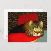 CATaTUDE Postkarte (Vorne/Hinten)