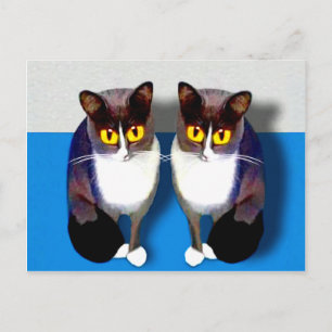 CATaTUDE Postkarte