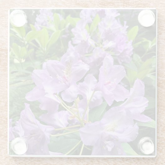 Catawbiense Boursault Rhododendrons, Oregon Glasuntersetzer (Rückseite)