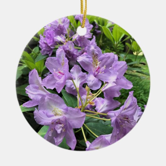 Catawbiense Boursault Rhododendrons, Oregon Keramik Ornament (Vorne)
