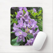 Catawbiense Boursault Rhododendrons, Oregon Mousepad (Mit Mouse)
