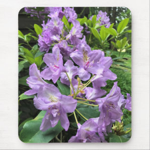 Catawbiense Boursault Rhododendrons, Oregon Mousepad