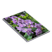 Catawbiense Boursault Rhododendrons, Oregon Notizblock (Rechte Seite)